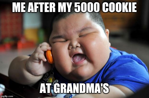 Fat Asian Kid | ME AFTER MY 5000 COOKIE; AT GRANDMA'S | image tagged in fat asian kid | made w/ Imgflip meme maker