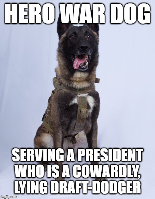 Baghdadi War Dog | HERO WAR DOG; SERVING A PRESIDENT WHO IS A COWARDLY, LYING DRAFT-DODGER | image tagged in baghdadi war dog | made w/ Imgflip meme maker