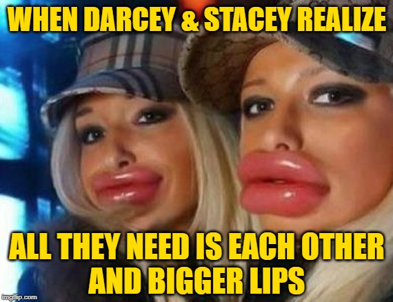 90 Day Fiance: Sisterhood | WHEN DARCEY & STACEY REALIZE; ALL THEY NEED IS EACH OTHER
AND BIGGER LIPS | image tagged in duck face chicks,90 day fiance,reality tv,sisters,funny memes,vanity | made w/ Imgflip meme maker