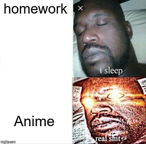 Sleeping Shaq Meme | homework; Anime | image tagged in memes,sleeping shaq | made w/ Imgflip meme maker