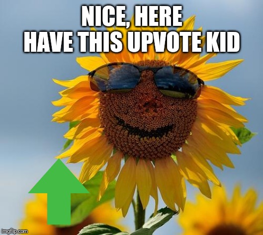 Cool sunflower | NICE, HERE HAVE THIS UPVOTE KID | image tagged in cool sunflower | made w/ Imgflip meme maker