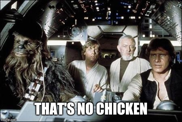 That's no moon | THAT'S NO CHICKEN | image tagged in that's no moon | made w/ Imgflip meme maker