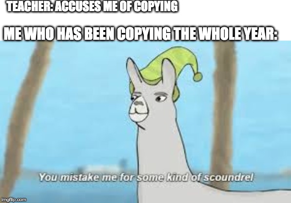 TEACHER: ACCUSES ME OF COPYING; ME WHO HAS BEEN COPYING THE WHOLE YEAR: | image tagged in llamas with hats | made w/ Imgflip meme maker