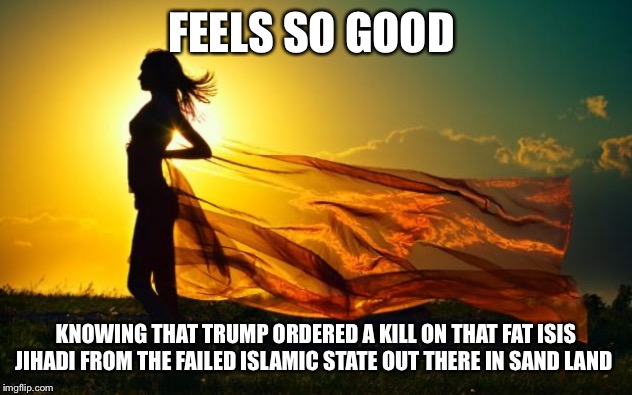 beauty in sunshine | FEELS SO GOOD; KNOWING THAT TRUMP ORDERED A KILL ON THAT FAT ISIS JIHADI FROM THE FAILED ISLAMIC STATE OUT THERE IN SAND LAND | image tagged in beauty in sunshine | made w/ Imgflip meme maker