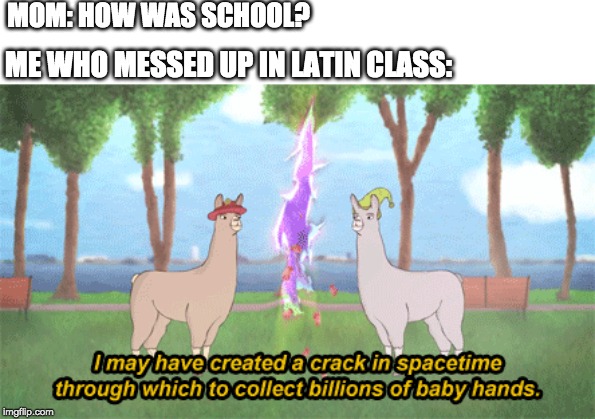 MOM: HOW WAS SCHOOL? ME WHO MESSED UP IN LATIN CLASS: | image tagged in llamas with hats | made w/ Imgflip meme maker