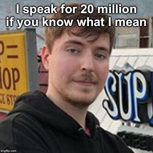 mr beast | I speak for 20 million if you know what I mean | image tagged in mr beast | made w/ Imgflip meme maker
