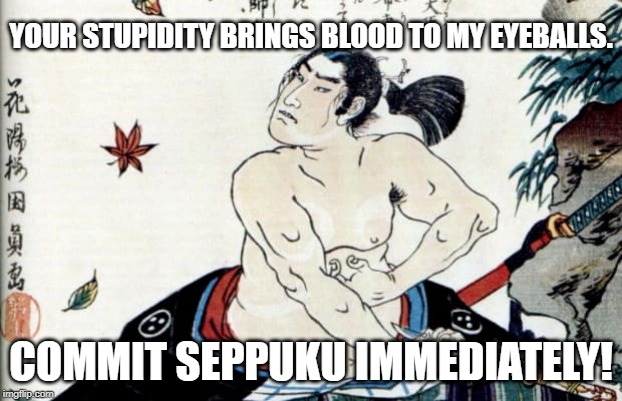 Commit SEPPUKU immediately | YOUR STUPIDITY BRINGS BLOOD TO MY EYEBALLS. COMMIT SEPPUKU IMMEDIATELY! | image tagged in seppuku,stupidity | made w/ Imgflip meme maker