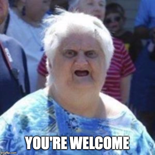 WAT Lady | YOU'RE WELCOME | image tagged in wat lady | made w/ Imgflip meme maker