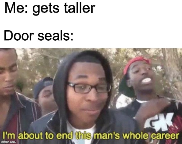 I’m about to end this man’s whole career | Me: gets taller; Door seals: | image tagged in im about to end this mans whole career | made w/ Imgflip meme maker