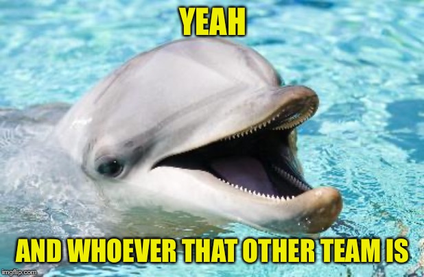 Dumb Joke Dolphin | YEAH AND WHOEVER THAT OTHER TEAM IS | image tagged in dumb joke dolphin | made w/ Imgflip meme maker