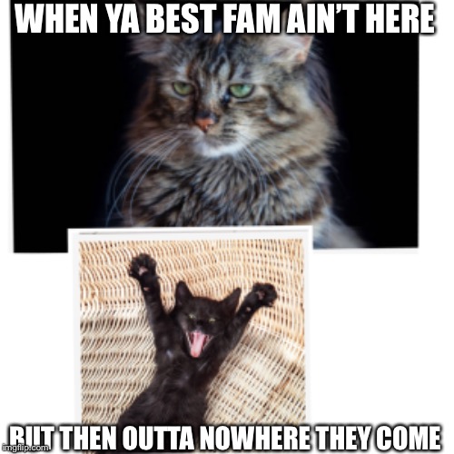 WHEN YA BEST FAM AIN’T HERE; BUT THEN OUTTA NOWHERE THEY COME | image tagged in funny memes | made w/ Imgflip meme maker