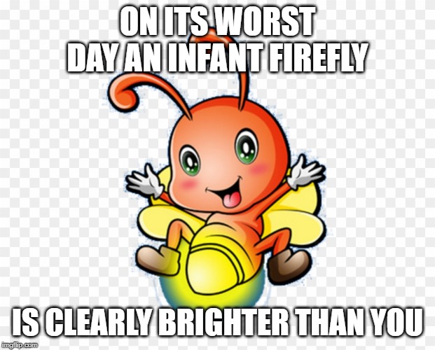 You're not very bright are you? | ON ITS WORST DAY AN INFANT FIREFLY; IS CLEARLY BRIGHTER THAN YOU | image tagged in firefly,brightness,stupidity | made w/ Imgflip meme maker