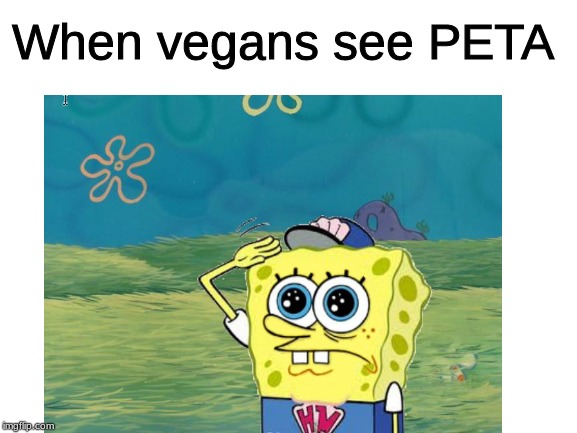 So true... | When vegans see PETA | image tagged in memes,funny,so true memes,peta | made w/ Imgflip meme maker