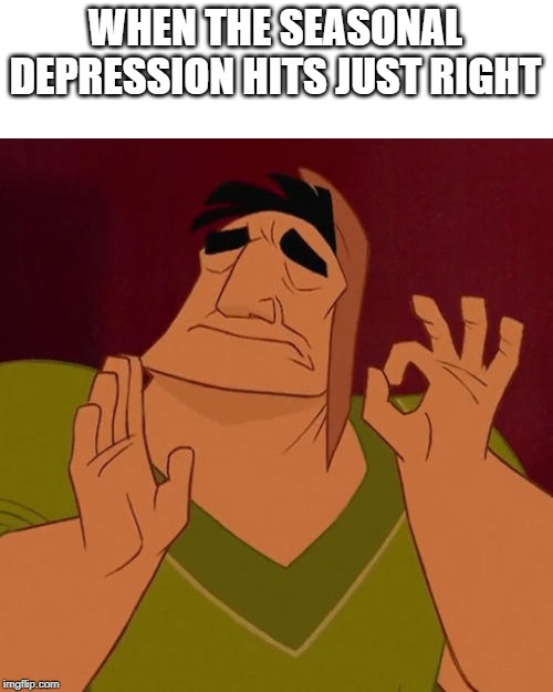 When X just right | WHEN THE SEASONAL DEPRESSION HITS JUST RIGHT | image tagged in when x just right,depression,mood,same,relatable,justright | made w/ Imgflip meme maker