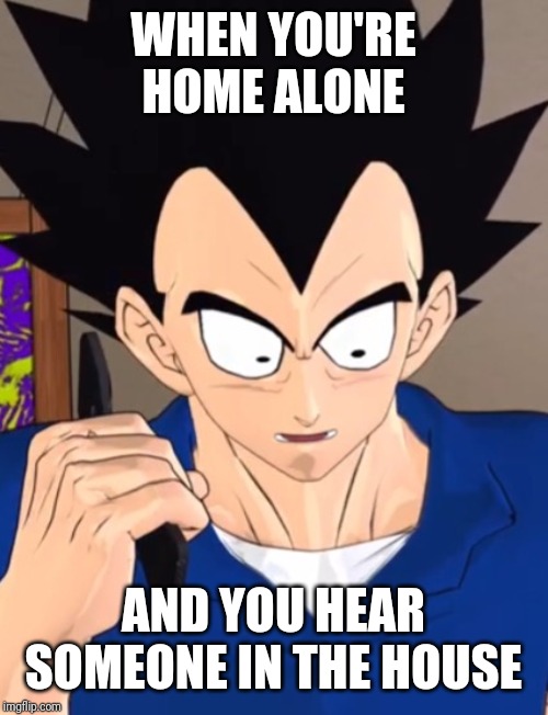 Scared Vegeta | WHEN YOU'RE HOME ALONE; AND YOU HEAR SOMEONE IN THE HOUSE | image tagged in scared vegeta | made w/ Imgflip meme maker