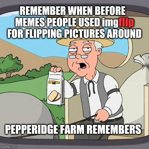 Pepperidge Farm Remembers | flip; REMEMBER WHEN BEFORE MEMES PEOPLE USED img         FOR FLIPPING PICTURES AROUND; PEPPERIDGE FARM REMEMBERS | image tagged in memes,pepperidge farm remembers | made w/ Imgflip meme maker