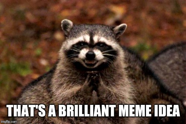 Evil Plotting Raccoon Meme | THAT'S A BRILLIANT MEME IDEA | image tagged in memes,evil plotting raccoon | made w/ Imgflip meme maker