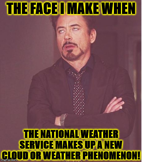 Face You Make Robert Downey Jr Meme | THE FACE I MAKE WHEN; THE NATIONAL WEATHER SERVICE MAKES UP A NEW CLOUD OR WEATHER PHENOMENON! | image tagged in memes,face you make robert downey jr | made w/ Imgflip meme maker