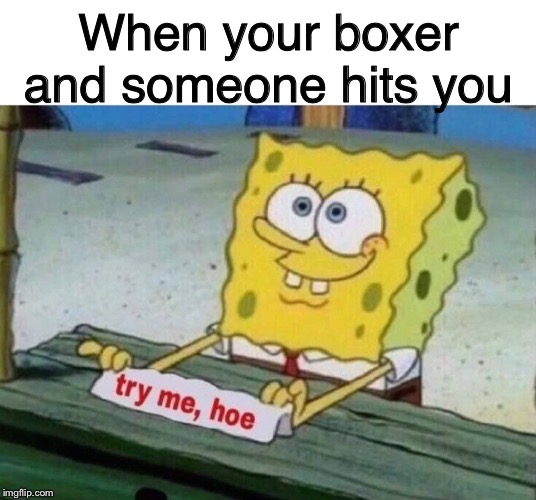 try me hoe | When your boxer and someone hits you | image tagged in try me hoe | made w/ Imgflip meme maker