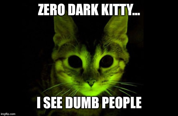 ZERO DARK KITTY... I SEE DUMB PEOPLE | made w/ Imgflip meme maker
