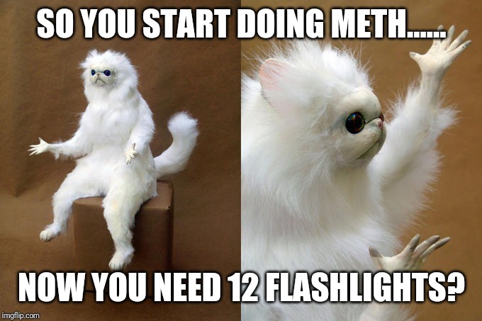 Persian Cat Room Guardian Meme | SO YOU START DOING METH...... NOW YOU NEED 12 FLASHLIGHTS? | image tagged in memes,persian cat room guardian | made w/ Imgflip meme maker