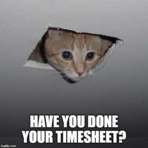 Ceiling Cat Meme | HAVE YOU DONE YOUR TIMESHEET? | image tagged in memes,ceiling cat | made w/ Imgflip meme maker