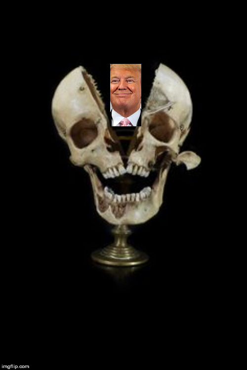 skull | image tagged in skull | made w/ Imgflip meme maker