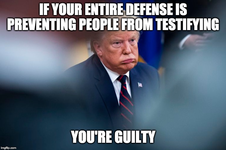 They also said,  "abuse of power is not illegal" | IF YOUR ENTIRE DEFENSE IS PREVENTING PEOPLE FROM TESTIFYING; YOU'RE GUILTY | image tagged in impeach trump,lock him up | made w/ Imgflip meme maker