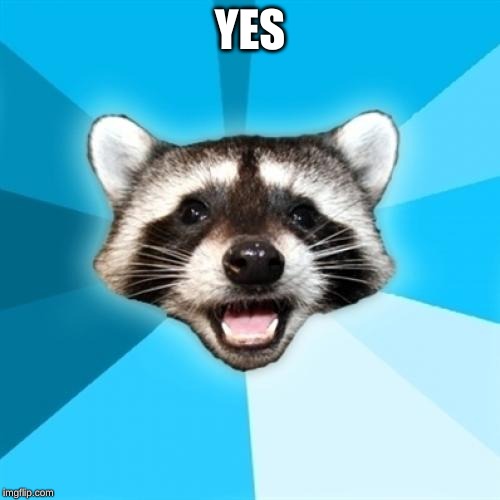 Lame Pun Coon | YES | image tagged in memes,lame pun coon | made w/ Imgflip meme maker