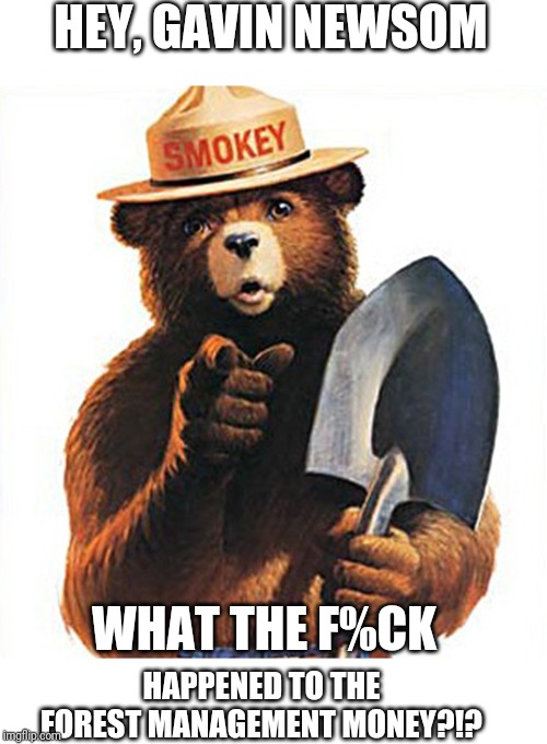 Smokey the Bear is a sad panda | HEY, GAVIN NEWSOM; WHAT THE F%CK; HAPPENED TO THE FOREST MANAGEMENT MONEY?!? | image tagged in california,california fires,smokey the bear,government corruption,liberals,forest fire | made w/ Imgflip meme maker