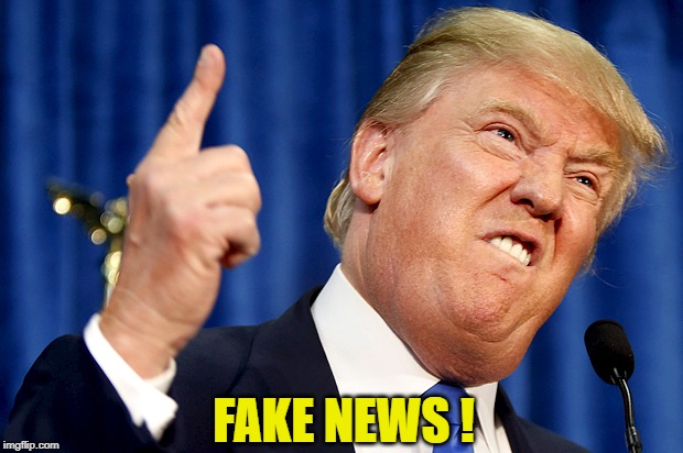 Donald Trump | FAKE NEWS ! | image tagged in donald trump | made w/ Imgflip meme maker
