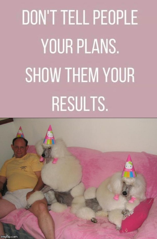 image tagged in drunkspirational poodle party | made w/ Imgflip meme maker
