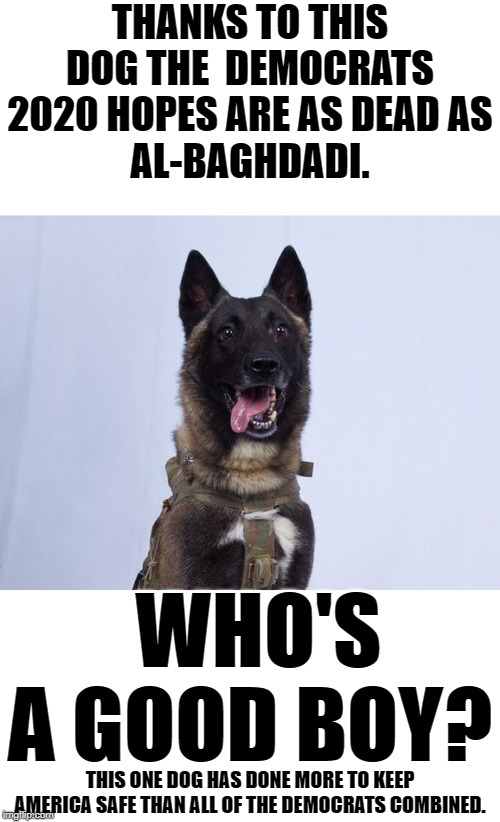 The coward al-Baghdadi even blew his children up with him. | THANKS TO THIS DOG THE  DEMOCRATS 2020 HOPES ARE AS DEAD AS
AL-BAGHDADI. WHO'S A GOOD BOY? THIS ONE DOG HAS DONE MORE TO KEEP AMERICA SAFE THAN ALL OF THE DEMOCRATS COMBINED. | image tagged in blank white template,al baghdadi,donald trump,hillary clinton | made w/ Imgflip meme maker