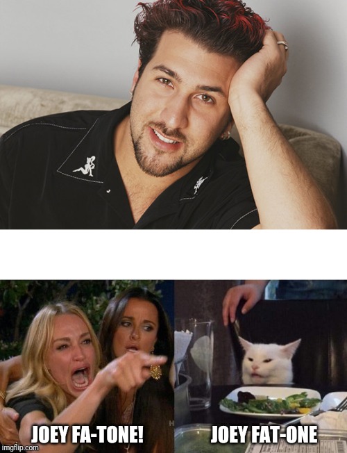 JOEY FAT-ONE; JOEY FA-TONE! | image tagged in joey fatone,memes,woman yelling at a cat | made w/ Imgflip meme maker