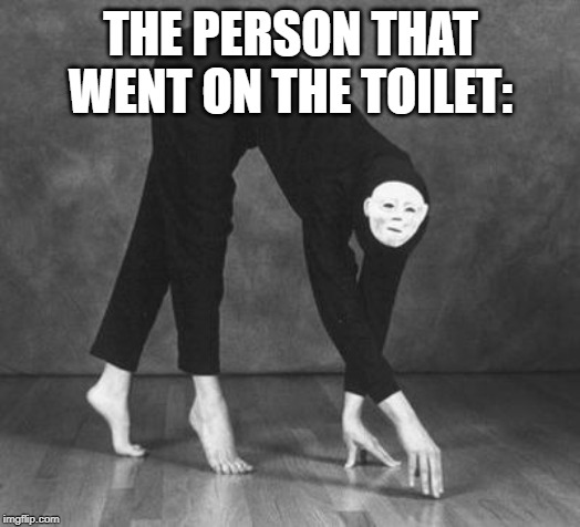 steal yo girl face tip toes | THE PERSON THAT WENT ON THE TOILET: | image tagged in steal yo girl face tip toes | made w/ Imgflip meme maker