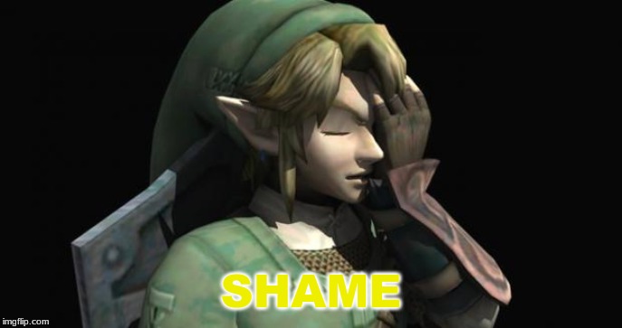 Link Facepalm | SHAME | image tagged in link facepalm | made w/ Imgflip meme maker