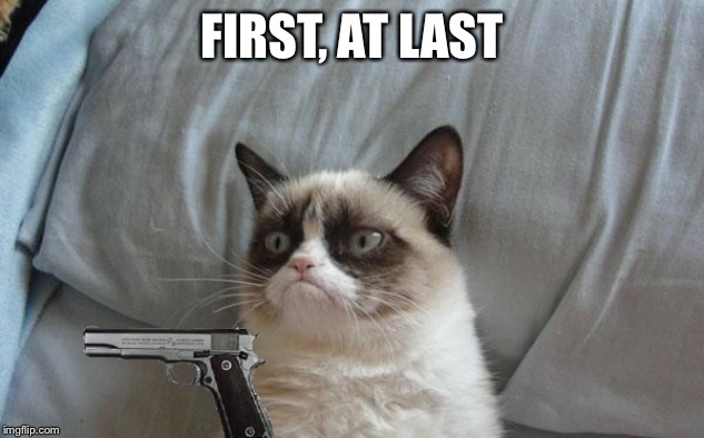 Grumpy cat gun | FIRST, AT LAST | image tagged in grumpy cat gun | made w/ Imgflip meme maker