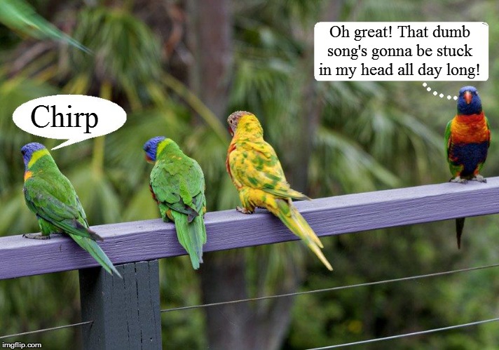 This one is for the birds! | Oh great! That dumb song's gonna be stuck in my head all day long! Chirp | image tagged in funny | made w/ Imgflip meme maker