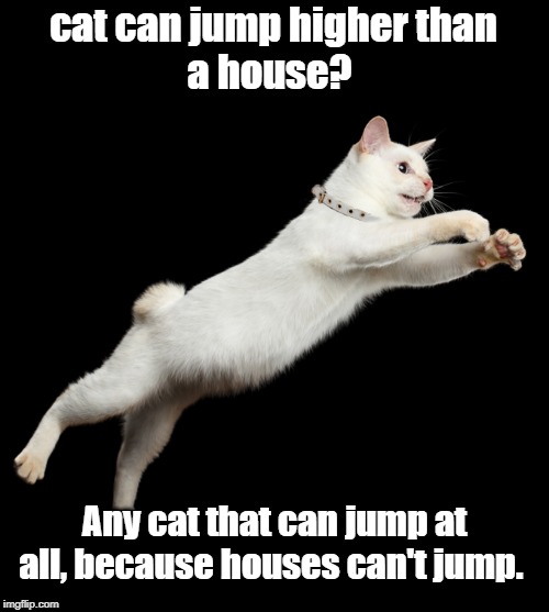 cat can jump | cat can jump higher than 
a house? Any cat that can jump at all, because houses can't jump. | image tagged in cats | made w/ Imgflip meme maker