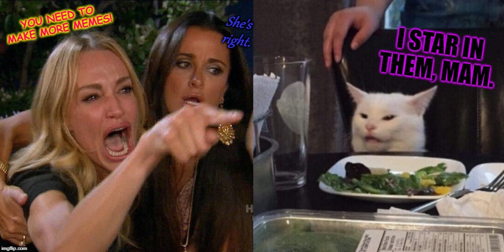 Woman yelling at cat | She's right. YOU NEED TO MAKE MORE MEMES! I STAR IN THEM, MAM. | image tagged in woman yelling at cat | made w/ Imgflip meme maker
