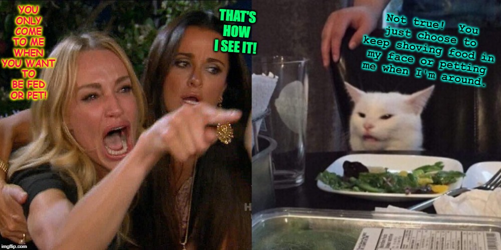 Woman yelling at cat | Not true!  You just choose to keep shoving food in my face or petting me when I'm around. THAT'S HOW I SEE IT! YOU ONLY COME TO ME WHEN YOU WANT TO BE FED OR PET! | image tagged in woman yelling at cat | made w/ Imgflip meme maker