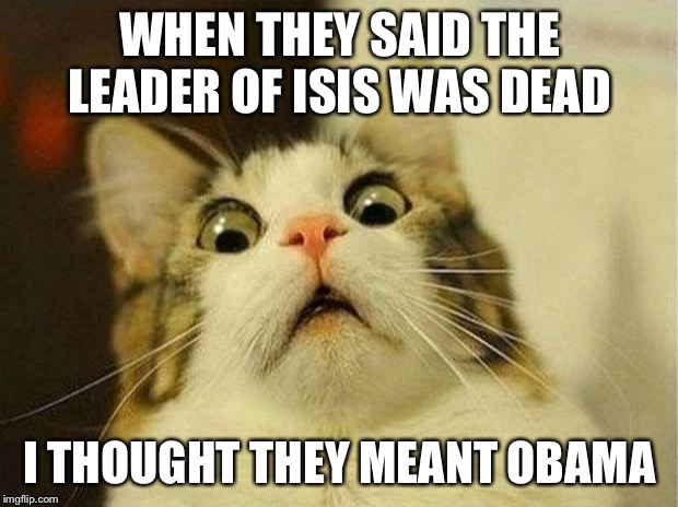 Scared Cat | WHEN THEY SAID THE LEADER OF ISIS WAS DEAD; I THOUGHT THEY MEANT OBAMA | image tagged in memes,scared cat | made w/ Imgflip meme maker