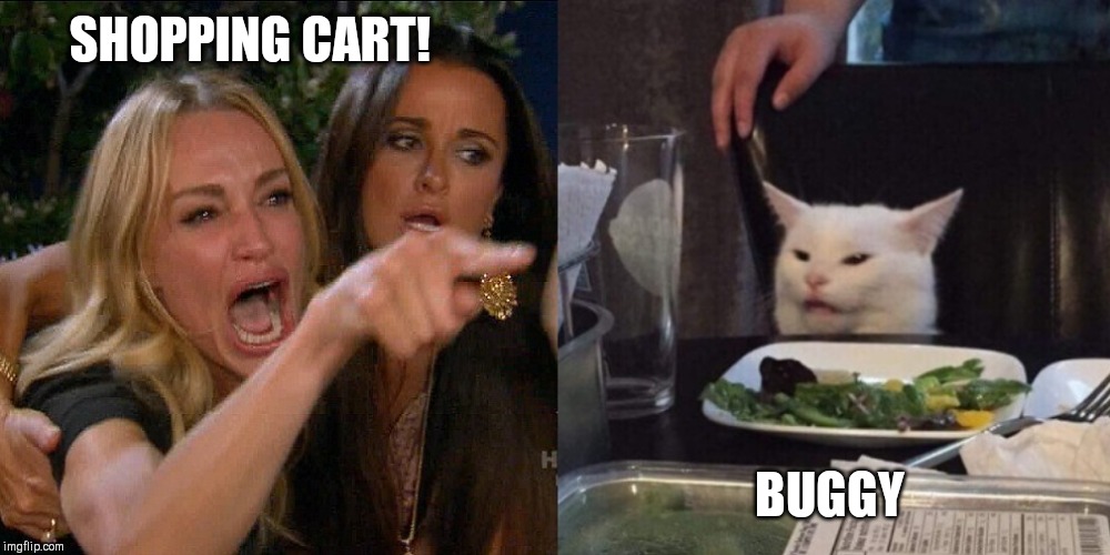 Woman yelling at cat | SHOPPING CART! BUGGY | image tagged in woman yelling at cat | made w/ Imgflip meme maker