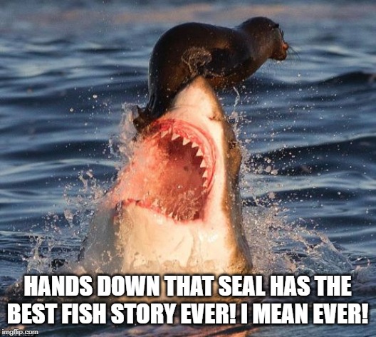 Travelonshark | HANDS DOWN THAT SEAL HAS THE BEST FISH STORY EVER! I MEAN EVER! | image tagged in memes,travelonshark | made w/ Imgflip meme maker