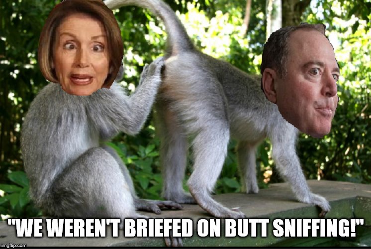 Nancy Pelosi and Adam Schiff | "WE WEREN'T BRIEFED ON BUTT SNIFFING!" | image tagged in nancy pelosi and adam schiff | made w/ Imgflip meme maker