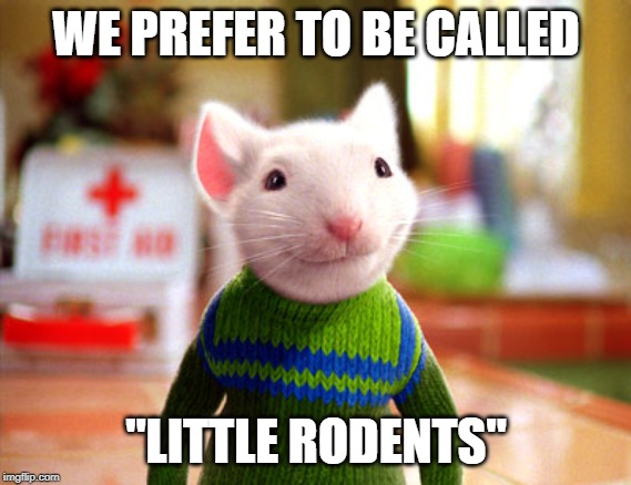 Stuart Little | WE PREFER TO BE CALLED "LITTLE RODENTS" | image tagged in stuart little | made w/ Imgflip meme maker