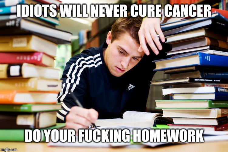 Studying | IDIOTS WILL NEVER CURE CANCER DO YOUR F**KING HOMEWORK | image tagged in studying | made w/ Imgflip meme maker