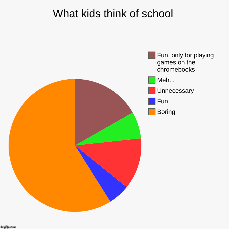 What kids think of school | Boring, Fun, Unnecessary, Meh..., Fun, only for playing games on the chromebooks | image tagged in charts,pie charts | made w/ Imgflip chart maker