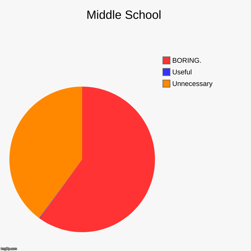 Middle School | Unnecessary, Useful, BORING. | image tagged in charts,pie charts | made w/ Imgflip chart maker