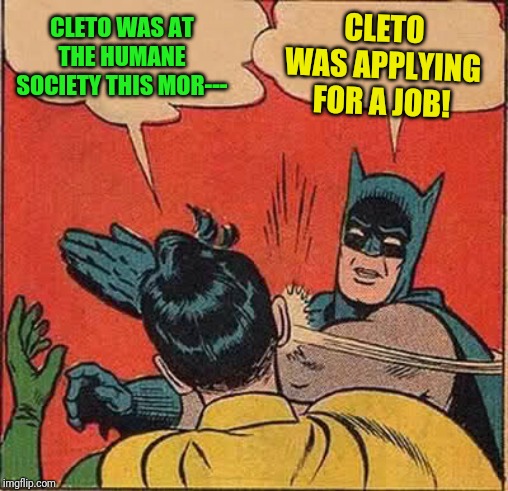 Batman Slapping Robin Meme | CLETO WAS APPLYING FOR A JOB! CLETO WAS AT THE HUMANE SOCIETY THIS MOR--- | image tagged in memes,batman slapping robin | made w/ Imgflip meme maker
